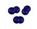 diplococcus